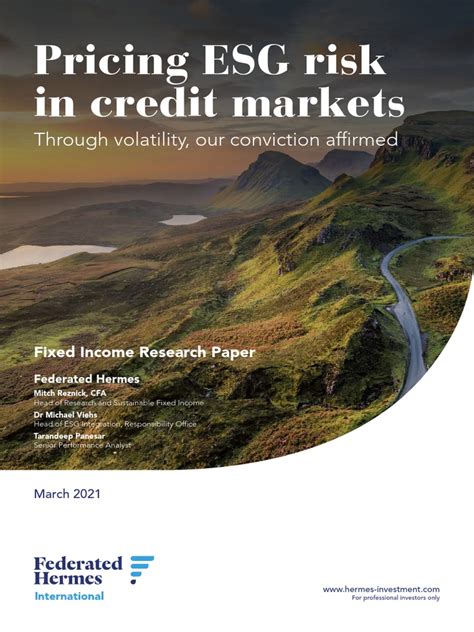 Pricing ESG risk in credit markets: reinforcing